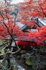 竞彩足球比分技巧-解锁竞彩足球比分技巧，从入门到精通的实战指南