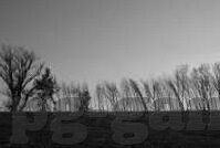 体彩足球比分买不到-体彩足球比分买不到的真相,一场关于概率、规则与理性的深度解析