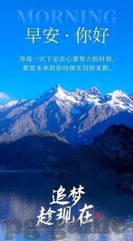 现场足球比分网-深度解析,现场足球比分网——球迷的实时信息战场与观赛新体验