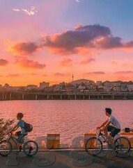 中国东亚足球比分-中国东亚足球赛场风云,比分背后的竞技与成长