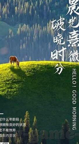 足球比分即时比分手机版-足球比分即时比分手机版,球迷的掌中宝与观赛新体验